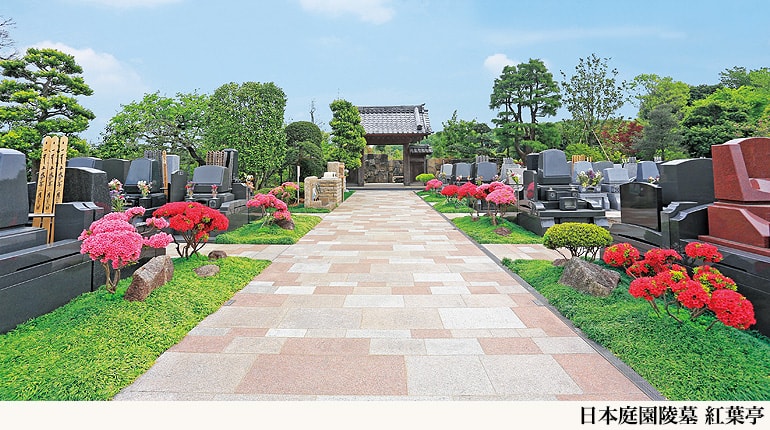 緑に囲まれた墓地
