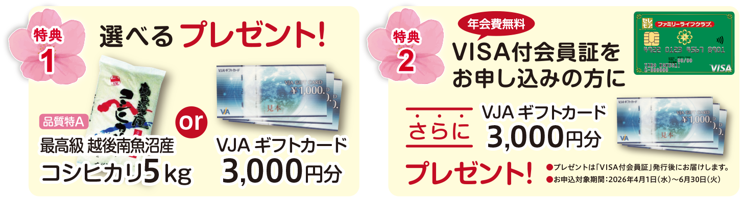 期間中ご入会の方全員に、VJAギフトカード3,000円分、または、新潟県産コシヒカリ5kg、のどちらかをプレゼント。