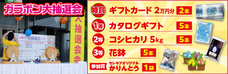 ガラポン大抽選会