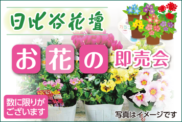 お花の即売会