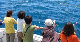 船上から海へ花を手向ける海洋散骨